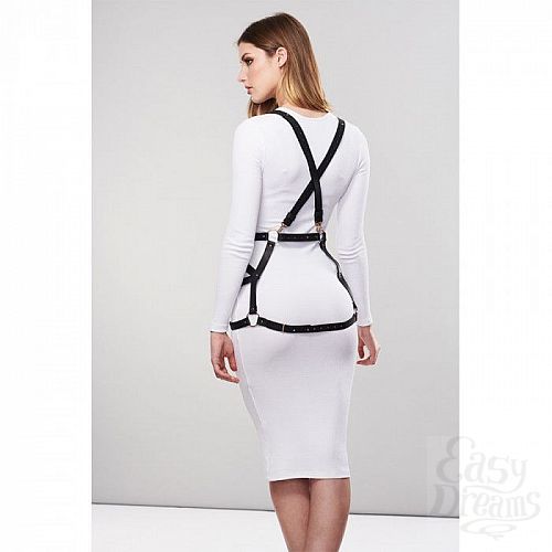  2  ׸  ARROW DRESS HARNESS