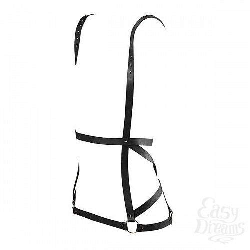  3  ׸  ARROW DRESS HARNESS