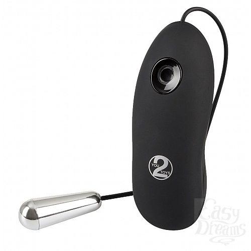  1:      Petite Bullet