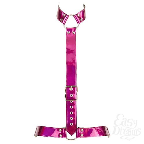  3  -      Bad Kitty Body Harness