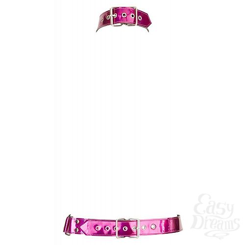  4  -      Bad Kitty Body Harness