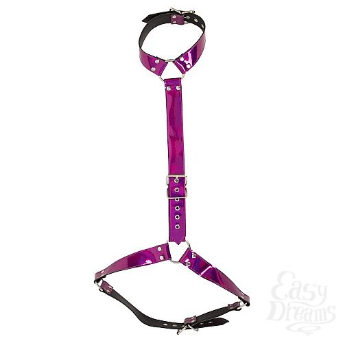  5  -      Bad Kitty Body Harness