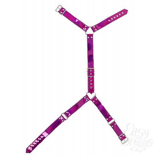  6  -      Bad Kitty Body Harness