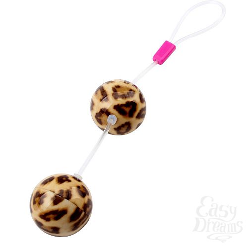  1:     Leopard Ball