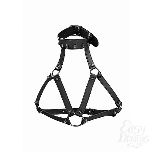  1:   Ouch! Skulls and Bones Black SH-OU304BLK