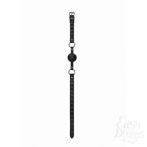  2   Ouch! Skulls and Bones SH-OU297BLK