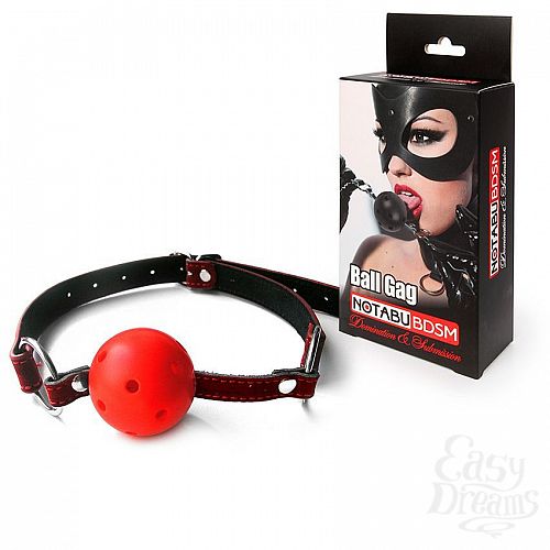  2  -  -   Ball Gag