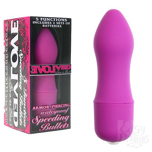  1:       EVOLVED EN-AI-0001-02-2