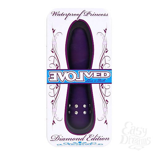  3     PRINCESS  EN-AD-0002-02-2