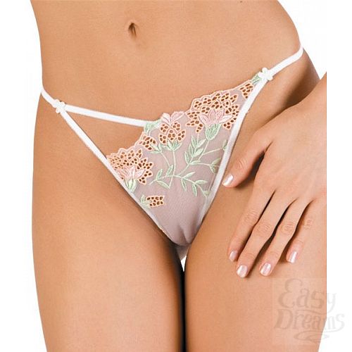 ���������� 1:  ��������� ������� � �������� (Erolanta 921020)