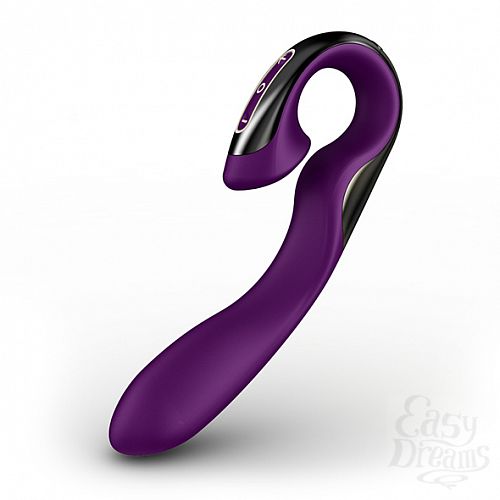  1:  ZINI Roae - Violet / Black