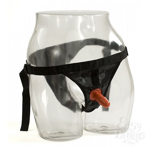  1:       Harness