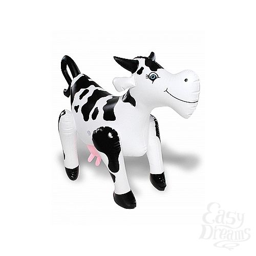  2    COW