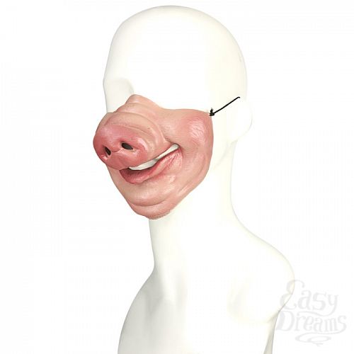  1:    PIG MASK LFM-100