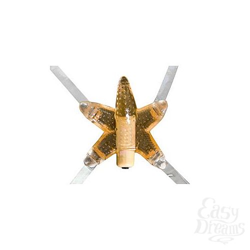 Фотография 2:  Семифункциональный стимулятор Li l StarFish Orange 0617-02BXDJ Фотография 2  Семифункциональный стимулятор Li l StarFish Orange 0617-02BXDJ