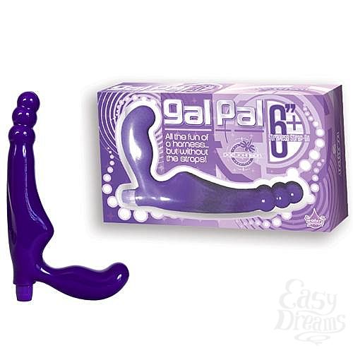  1:   Gal Pal 6  1138-51BXDJ