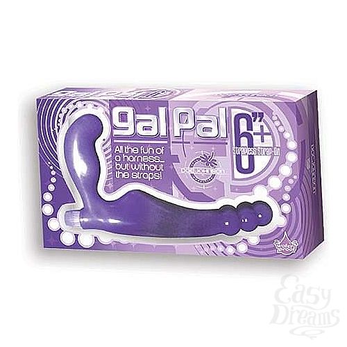  2   Gal Pal 6  1138-51BXDJ