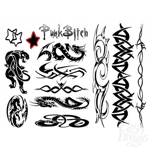  2    Punk Bitch 40  E21256