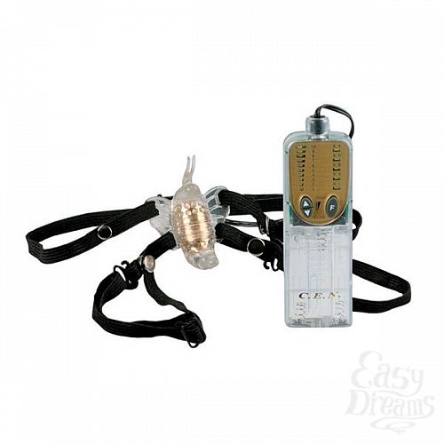 Фотография 2:  Многоскоростная бабочка Impulse 0583-00BXSE Фотография 2  Многоскоростная бабочка Impulse 0583-00BXSE