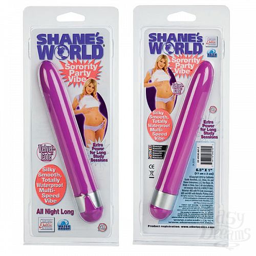  2    6,5in Shane`s World