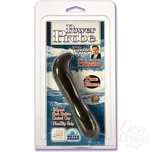  2     POWER PROBE