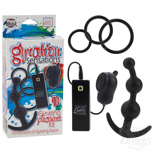  1:     6  GYRATION PLEASURE KIT 1995-40 BX SE