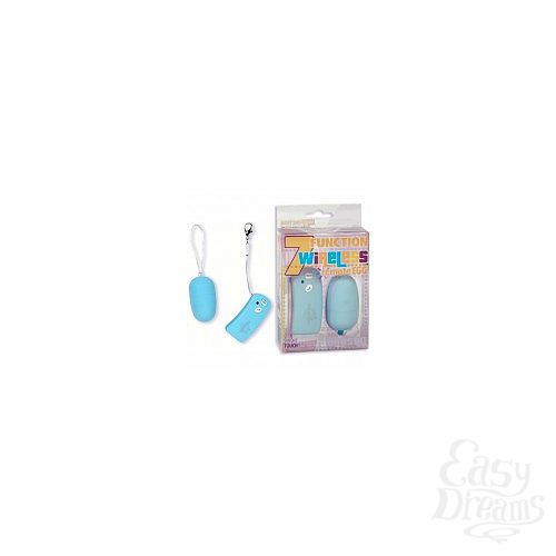  1:      7-FUNCTION WIRELESS REMOTE - EGG