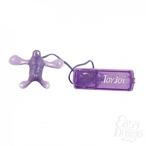  2     CLIT SQUIRREL PURPLE 9226TJ