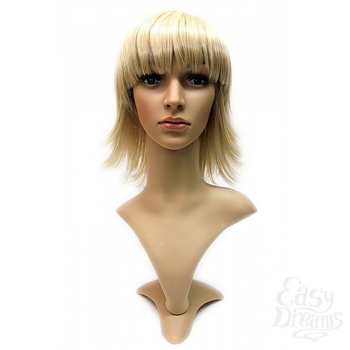  2   Steph Wig -    , 