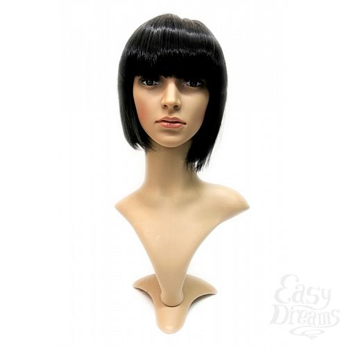  4   Gaga -  ,  