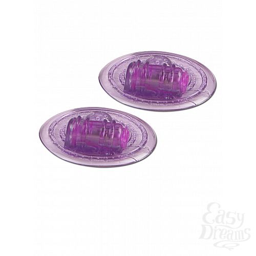  2  -   PLEASURE CUPZ  1 / 12