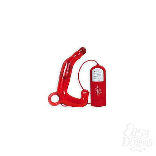  1:      PLEASURE WAND