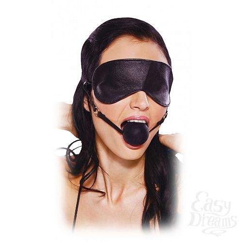  2   FF BLINDFOLD BALL GAG 393200PD