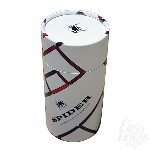  2   Spider Realism 
