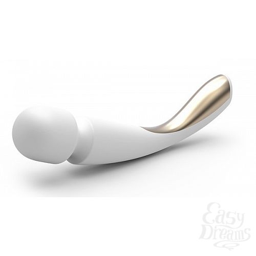  1:     Smart Wand Large  