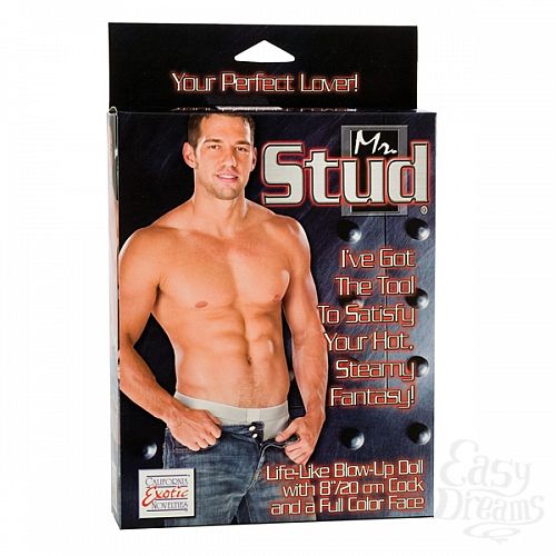  1:    Mr. Stud 1923-01BXSE