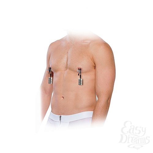  2     Nipple Weights   