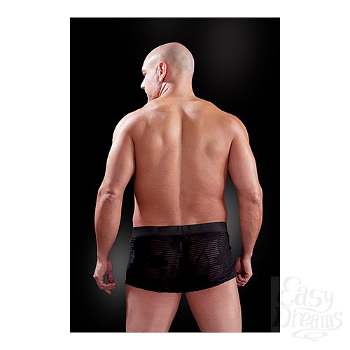  3    , 2XL / 3XL