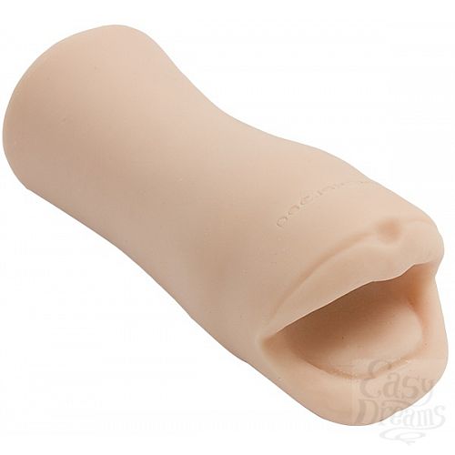  1:  - PALM PAL 