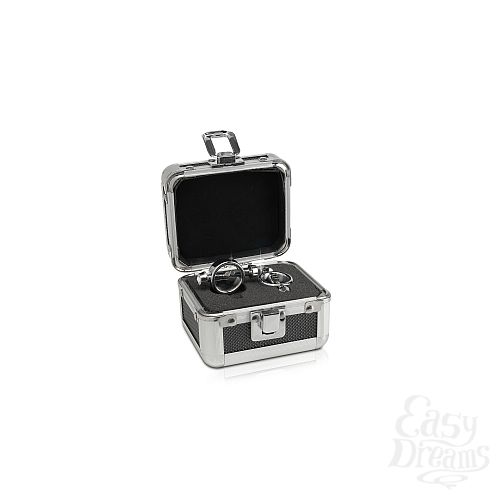  1:     Metal Worx Magnetic Nipple Clamps 237100PD