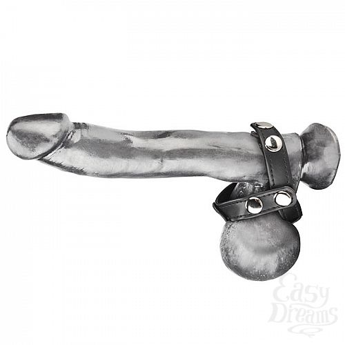  3             T-STYLE COCK RING BLM1693