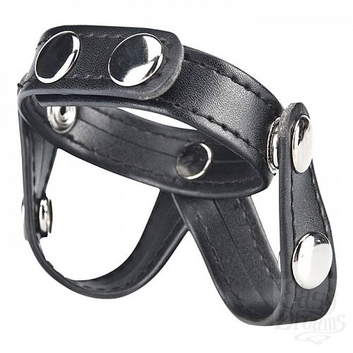  2             V-STYLE COCK RING BLM1722