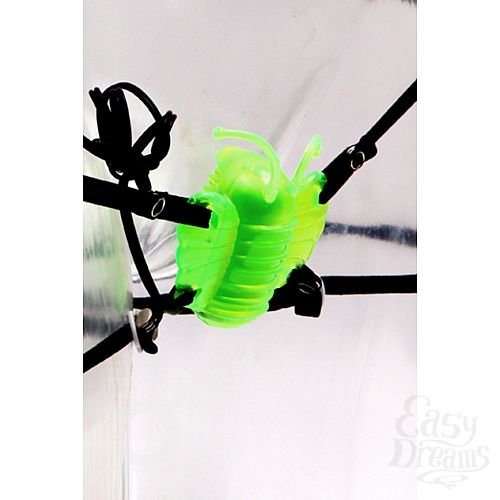  1:    VIBRO WINGS