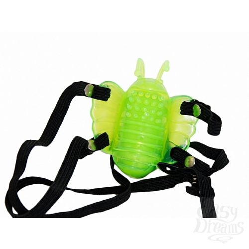  2    VIBRO WINGS