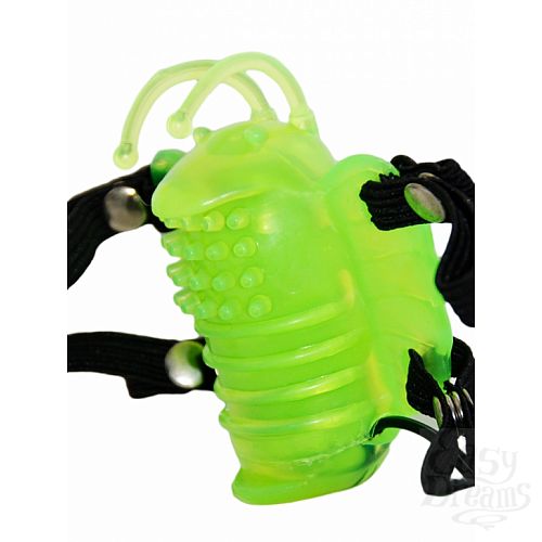  3    VIBRO WINGS
