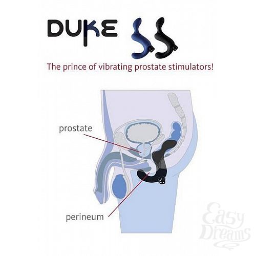  3     Duke (Fun Factory), 