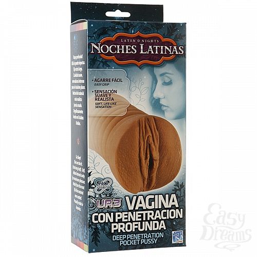  2   - NOCHES LATINAS