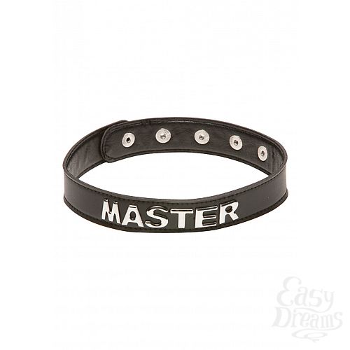  2   X-PLAY MASTER COLLAR 2030XP