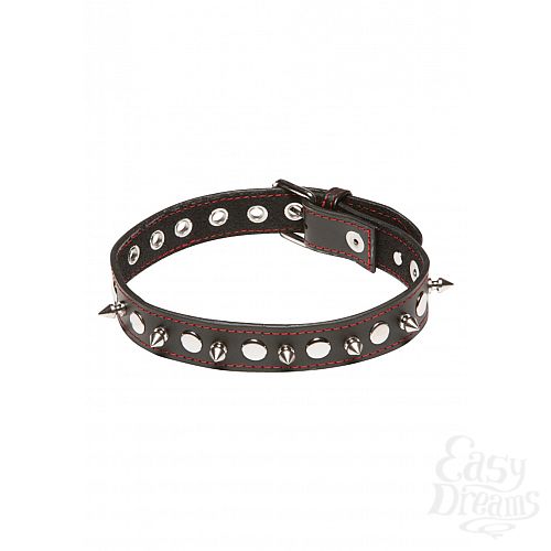  2     X-PLAY SPIKED COLLAR 2079XP