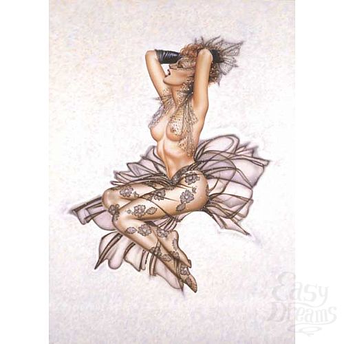 Фотография 1:  Комплект Страсть и Кружево из коллекции Оливия Фотография 1:  Комплект Страсть и Кружево из коллекции Оливия